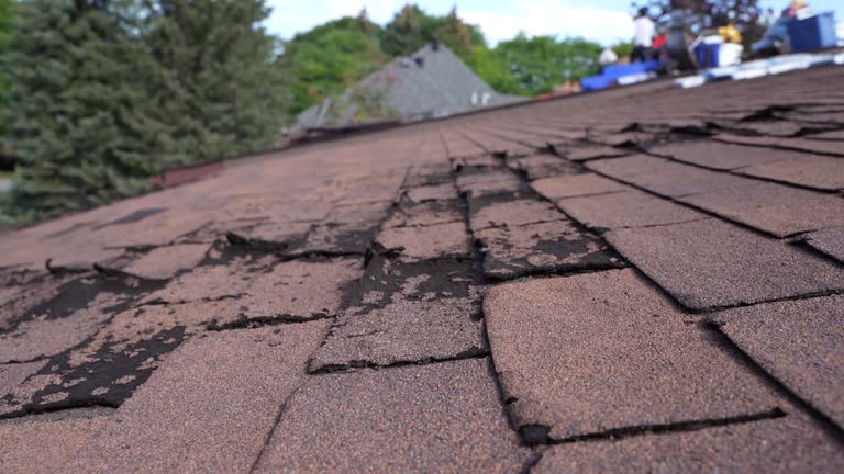 Best Chimney Flashing Repair  in San Martin, CA