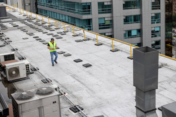 Best Roof Coating and Sealing  in San Martin, CA