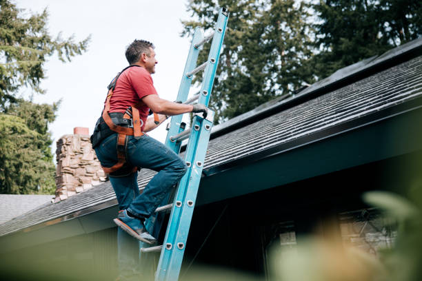Best Gutter Installation and Repair  in San Martin, CA