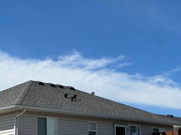 Best Roof Moss and Algae Removal  in San Martin, CA